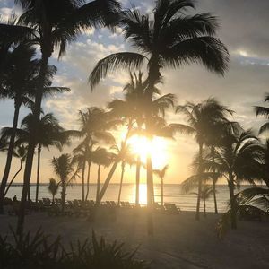 Meet your Posher, Niki